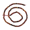 Natural Picasso Stone/Polychrome Jasper Beads Strands G-A260-A24-01-4