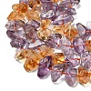 Natural Ametrine Beads Strands G-L634-G01-01-4