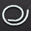 Sea Shell Beads Strands SSHEL-T014-49-3