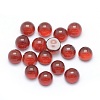 Natural Carnelian Cabochons G-P393-R03-8MM-1