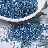 MIYUKI Delica Beads SEED-JP0008-DB1811-1