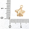 304 Stainless Steel Charms SA-CBA4377-02D-G-3