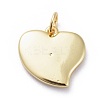 Enamel Charms KK-G363-46G-3