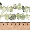 Natural Prehnite Beads Strands G-P604-A02-01-3