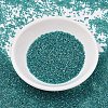 MIYUKI Delica Beads SEED-X0054-DB2380-2