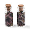 Glass Wishing Bottle Display Decorations AJEW-T013-02I-1
