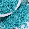 MIYUKI Delica Beads SEED-X0054-DB0658-1