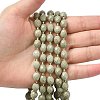 Natural Alashan Agate Beads Strands G-F809-A10-01-6