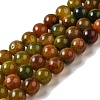 Natural Agate Beads Strands G-P516-A01-A11-1