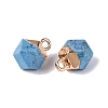 Dyed Synthetic Turquoise Pendants G-N359-18G-20-2