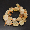 Nuggets Natural Citrine Beads Strands G-F289-28-2
