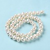 Natural Cultured Freshwater Pearl Beads Strands PEAR-E018-05-3