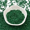 Baking Paint Glass Seed Beads SEED-S042-05B-66-2