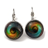 Eye Glass Leverback Earrings with Brass Earring Pins EJEW-Q798-01H-1