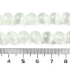 Natural Selenite Beads Strands G-C142-01B-06-5