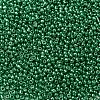 8/0 Glass Seed Beads X-SEED-A017-3mm-1114-2