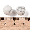 Natural Howlite No Hole Sphere Beads G-K353-04A-20-3