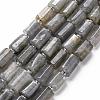 Natural Labradorite Beads Strands X-G-S345-8x11-001-1