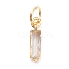 304 Stainless Steel Cubic Zirconia Pendants STAS-E487-21G-10-1