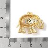 Brass Micro Pave Colorful Cubic Zirconia Pendants ZIRC-I071-01G-01-3
