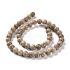 Natural Maifanite/Maifan Stone Beads Strands G-I187-10mm-01-8