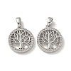 Brass Micro Pave Cubic Zirconia Pendents KK-R210-21P-01-1