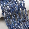 Natural Blue Aventurine Beads Strands G-K395-B03-01-1