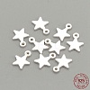 925 Sterling Silver Charms STER-S002-30-3