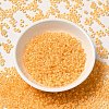 12/0 Transparent Glass Seed Beads X-SEED-F003-03C-01-2