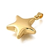 304 Stainless Steel Pendants LS-BJEW-H200-09G-02-2