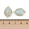 Natural Amazonite Faceted Connector Charms G-K347-11G-18-3
