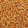 TOHO 8/0 Round Beads X-SEED-TR08-0022B-2