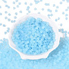 FGB Frosted Transparent Glass Seed Beads SEED-N013-03A-11-2