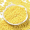 Baking Paint Luster Glass Seed Beads SEED-B001-04A-06-2