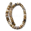 Natural Fossil Coral Beads Strands G-A280-A08-03-3