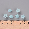 Transparent Acrylic Beads PL554-11-5