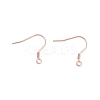 304 Stainless Steel Earring Hooks STAS-P221-04RG-2