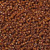 MIYUKI Delica Beads SEED-MY11-DB2109-3