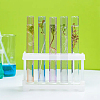 8Pcs 4 Colors Transparent Acrylic Test Tube AJEW-OC0003-95-7