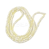 Frosted Crackle Glass Beads Strands GLAA-U001-4mm-M11-3