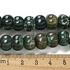 Natural Indian Agate Beads Strands G-G142-A11-01-5