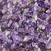 Natural Amethyst Chip Beads X-G-L453-06-1