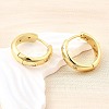 Brass Micro Pave Clear Cubic Zirconia Hoop Earrings EJEW-Z121-01G-3