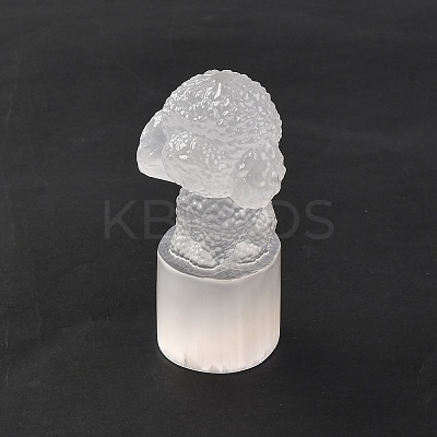 Natural Selenite Figurines DJEW-Q006-01H-1