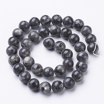 Natural Larvikite Beads Strands GSR10mmC128-1
