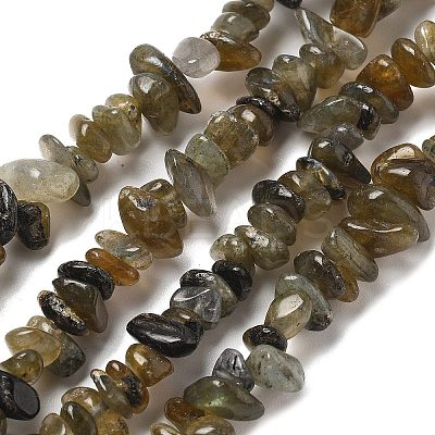 Natural Labradorite Beads Strands G-P332-23-1