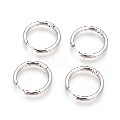Tarnish Resistant 304 Stainless Steel Hoop Earrings EJEW-P177-P-06-1