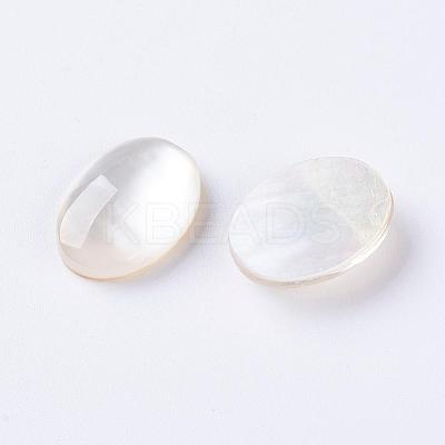 Shell Cabochons G-L470-15-1