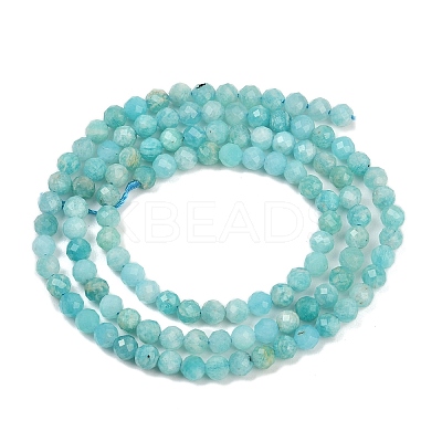 Natural Amazonite Beads Strands LS-G-P572-B04-A-1