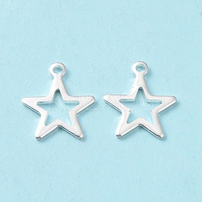 304 Stainless Steel Charms STAS-L234-095S-1